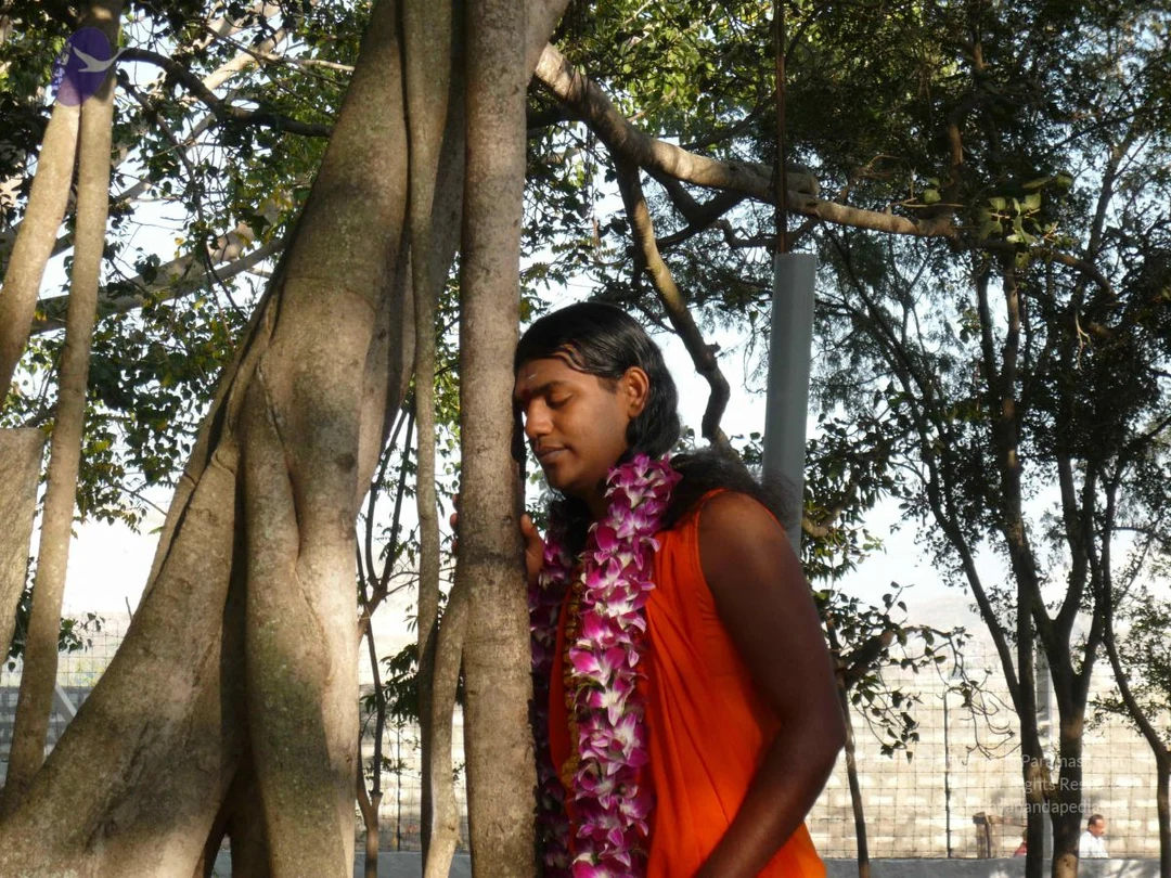 20081231 Photo 1285 1k9oG08hxZdkI8G3qo8pY8SIoWbsd4ZwV.JPG