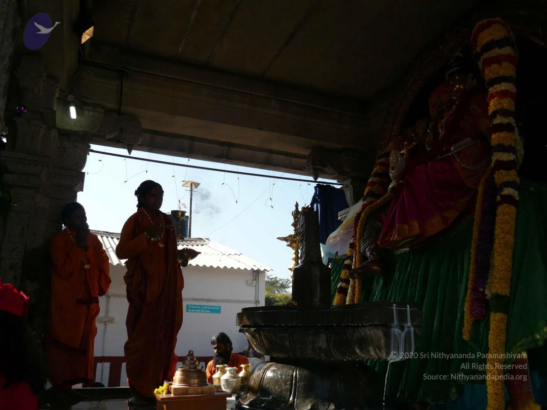 20081231 Photo 1672 1c8yIjmou6MPBD9Tqo1iBxvWyZIMxryB4.JPG