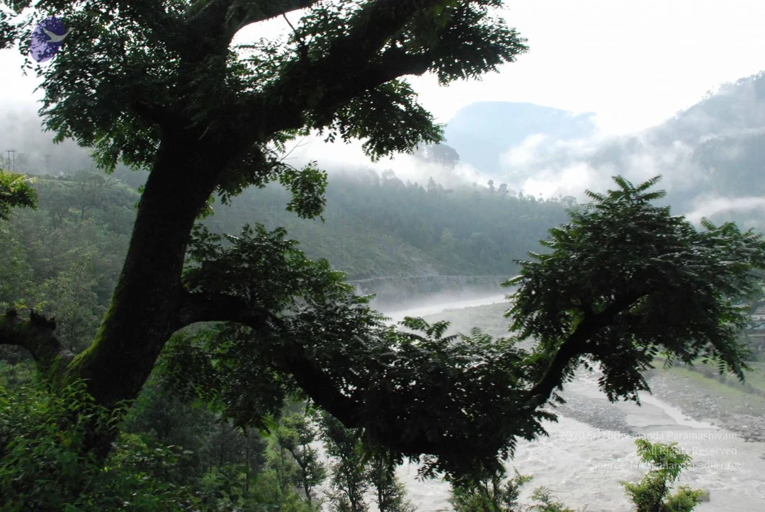 20080702 Photo 1198 1R8MprMIFnNNiRx8SstkMEbNwQw5tGEbJ.JPG