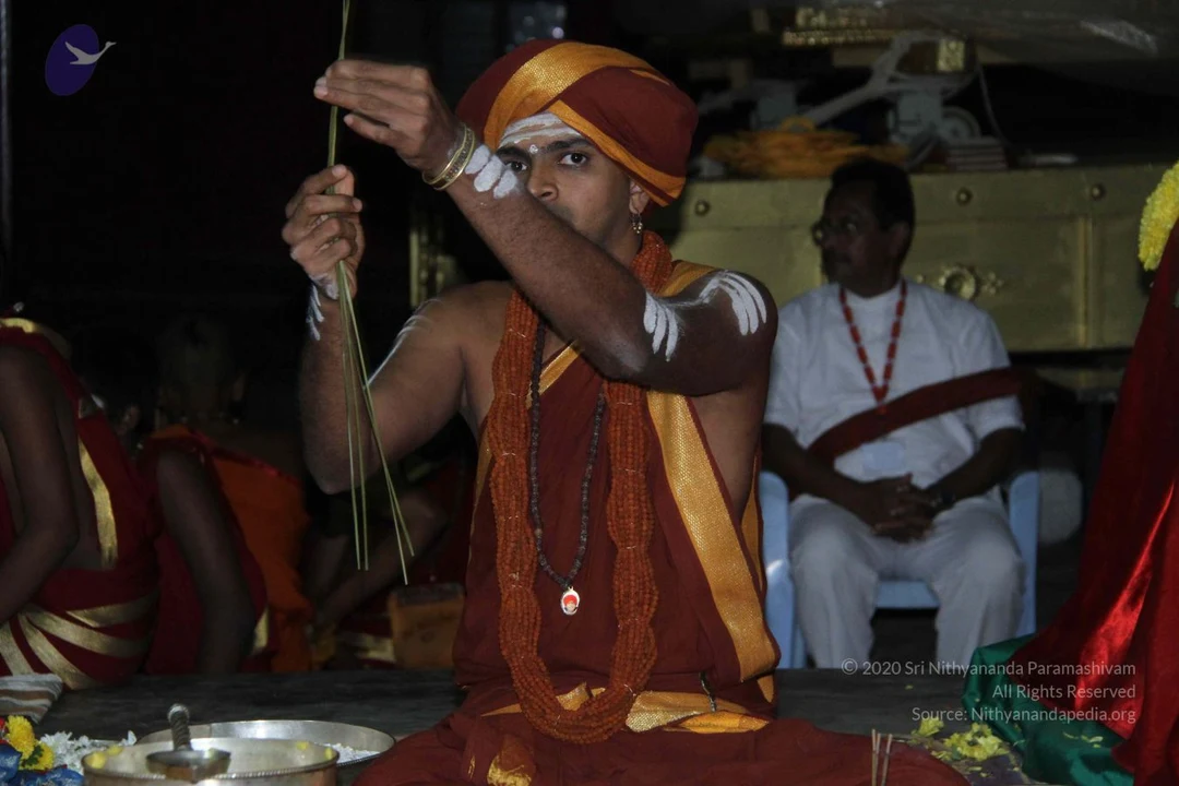 20140906 Photo 1203 1wbiMZzrMmFpKEkm0cdBbDSIkgIaPxbxY.JPG