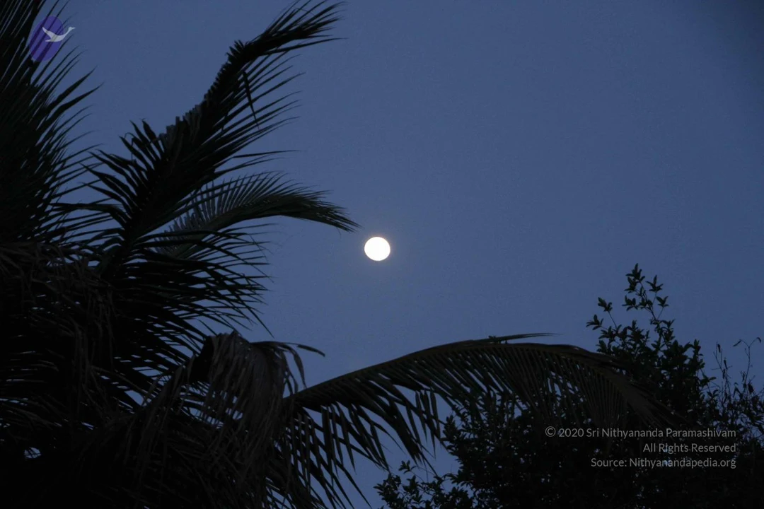20130621 Photo 1009 1vDw1FcsE0N7LvCctj CE2N0u-7 B4rQ7.JPG