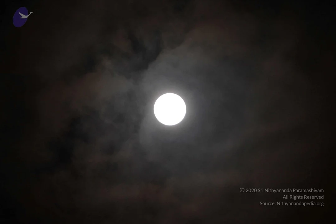 20120929 Photo 1295 1hu8Q3C8c0nkzI9J9lVRY2Kg-pEoeAvaO.JPG