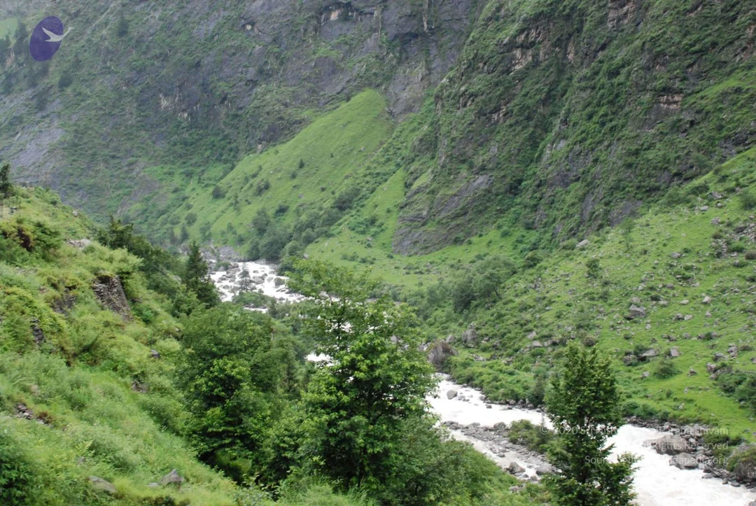 20080707 Photo 1693 1rcdSU-O1VpCSUqSHZnQgfep2wnLMmNFn.JPG