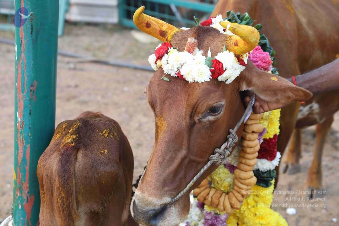20180115 Photo 1182 1TfgD371WClhsZABbvvNjYOiCd-69py-R.JPG