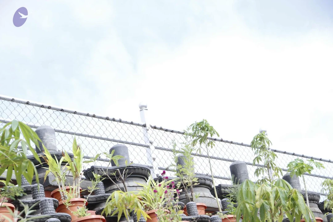 20110808 Photo 1167 141rclfPRLfqqsqhrtw6zvkXPgRrA1z7P.JPG