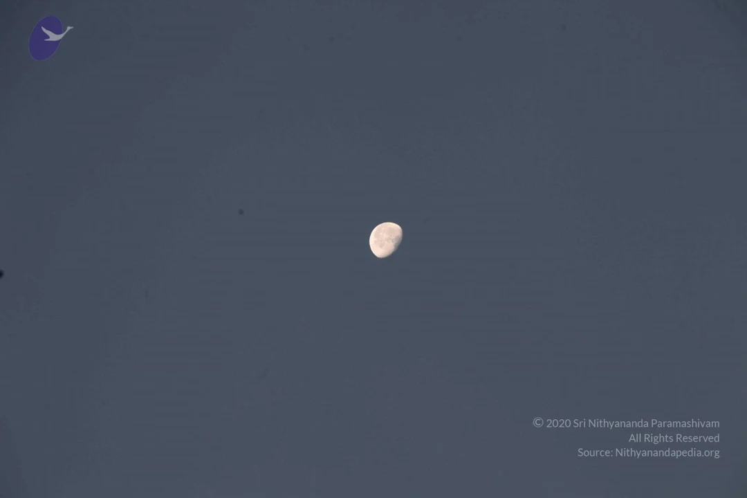 20130302 Photo 1023 1XJi2OJGem5uwa1eFAtR0IaHSx29b LjM.JPG