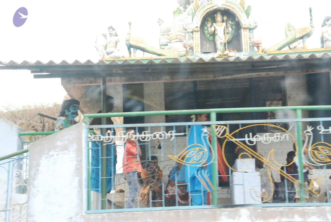20090803 Photo 1057 1qKz6Dmxz7o8iMluGnjRNlGv7DkADzaH2.JPG