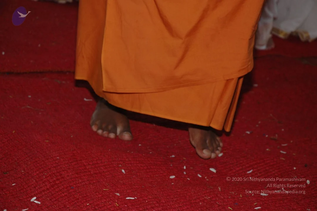 20070205 Photo 1167 1A60TnivCJCtQul3b1d0T4BgZxSY0Rflz.JPG