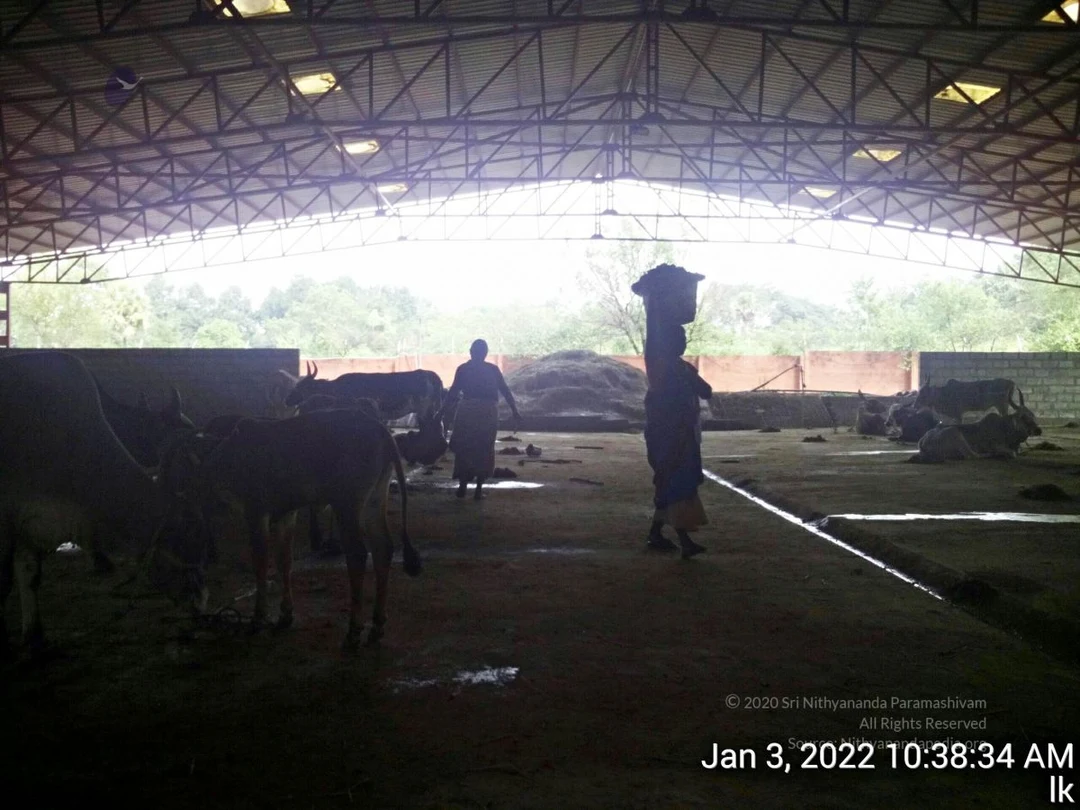 20211227 TimePhoto 20220103 103834 11.jpg
