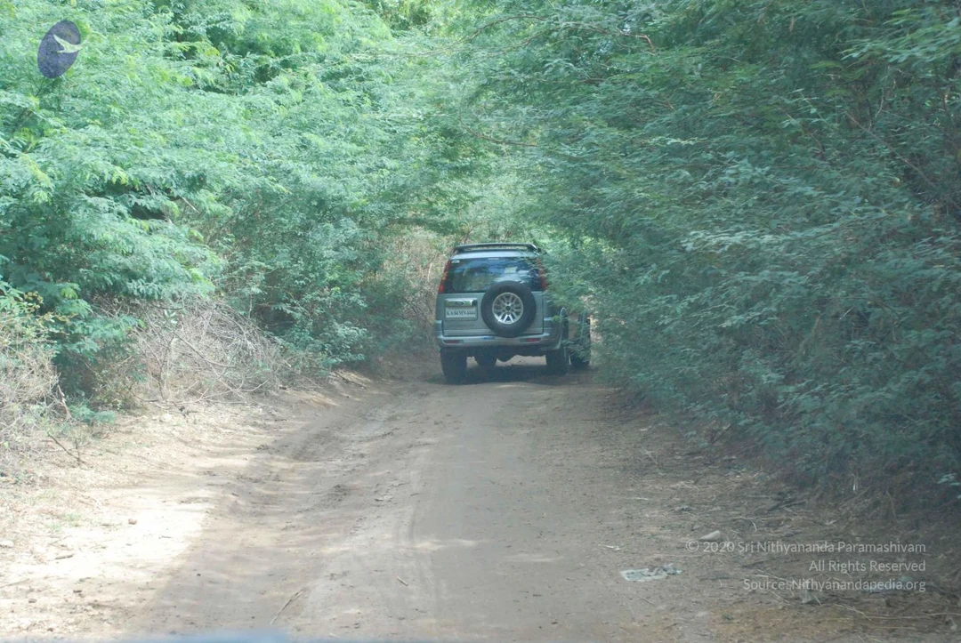 20080729 Photo 1089 1ugYpQhbaPIgQdkcoQ3DY xzGUkjzkV7J.JPG