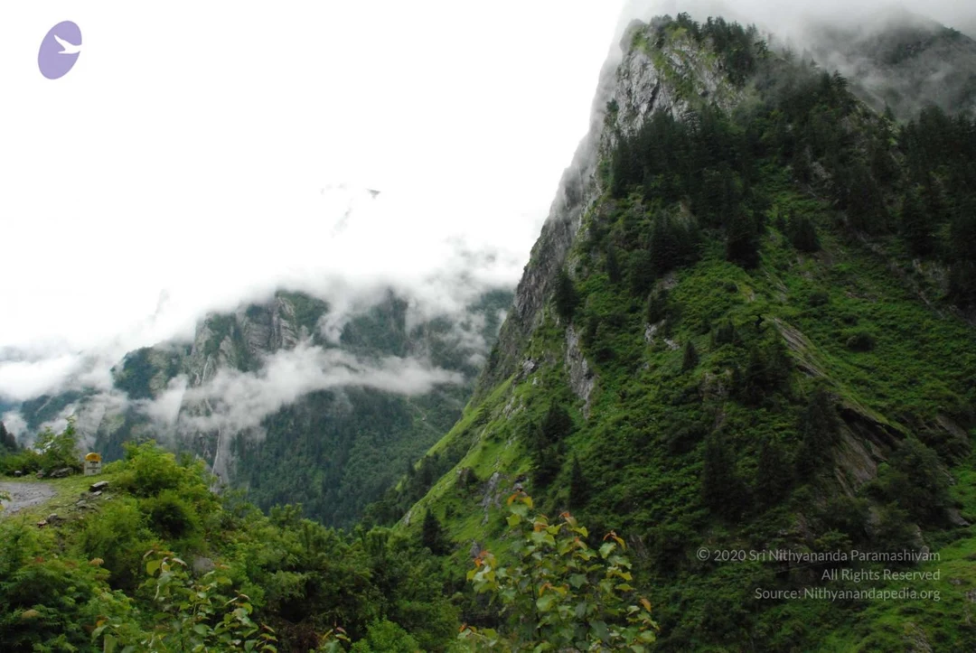 20080707 Photo 1744 1t3H5IL3kouiMVPktFVZeZuvKzFqDFN5V.JPG