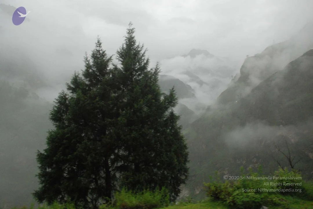 20080707 Photo 1436 183S5UqRqnWyt3RS4WU-O SVrNt92yQZb.JPG