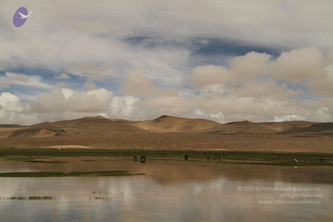 20120806 Photo 1050 17X3n z9ON8VMf3WRwjIa1XrprjRQXHE3.JPG