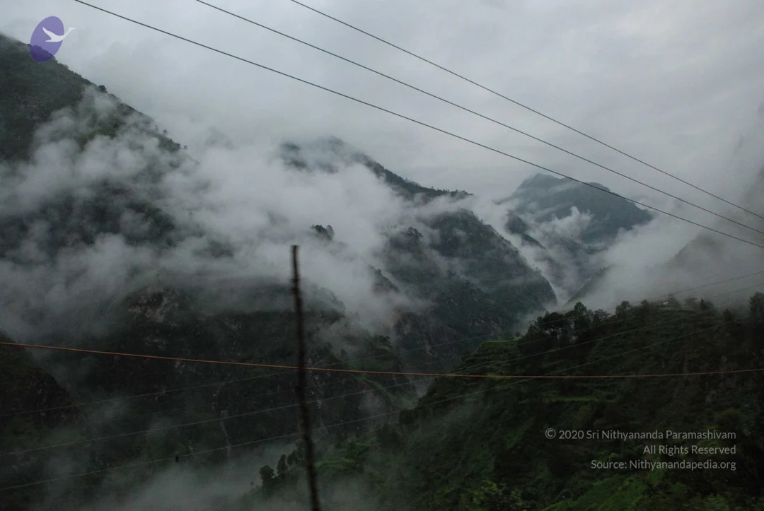 20080707 Photo 1112 1MjGiIiQAyrQWnZph8ibkkp10xOleQxv0.JPG