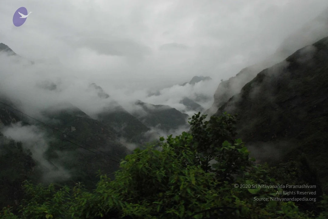 20080707 Photo 1428 1ItDNeaEavR3onb8KFXLFaUcA6LQnmLX .JPG
