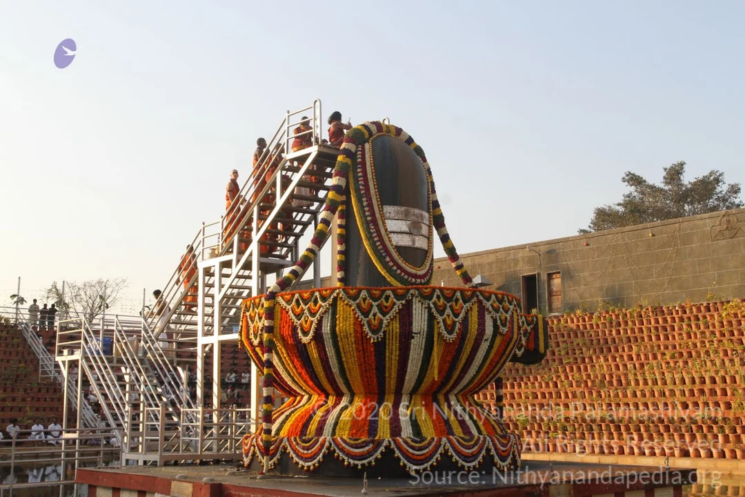20150219 Photo 1753 1 RYofmrMsS4waqkHJaUPE1OJS2zpyIvR.JPG
