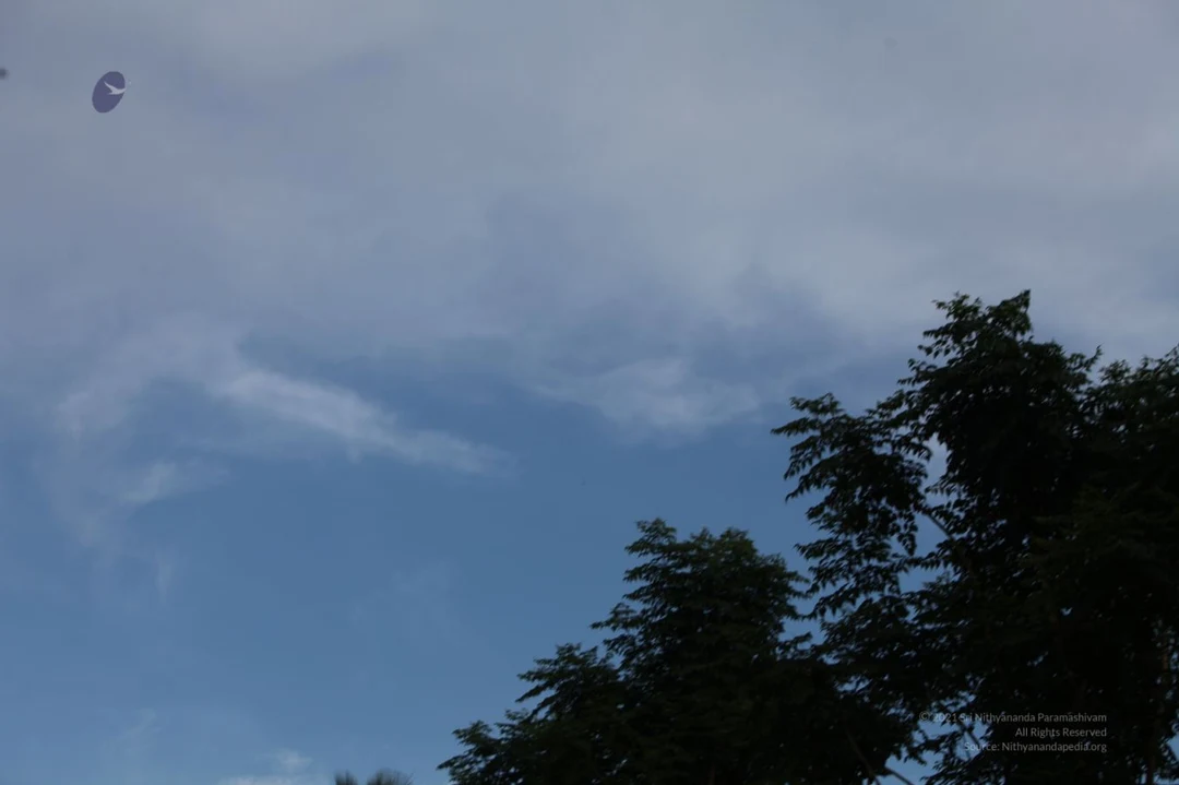20120426 IMG 9749-22.jpg