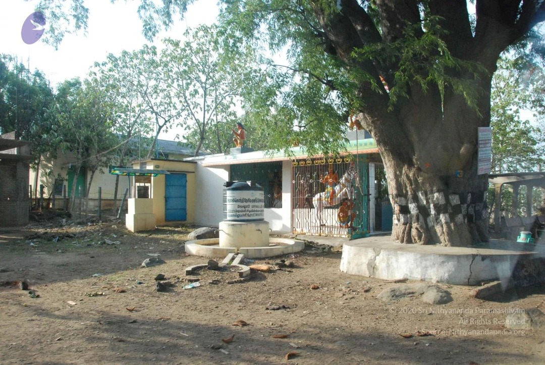20090803 Photo 1026 10hD1ldkon7uXRFWM-QmObEhgEpWbJgAe.JPG