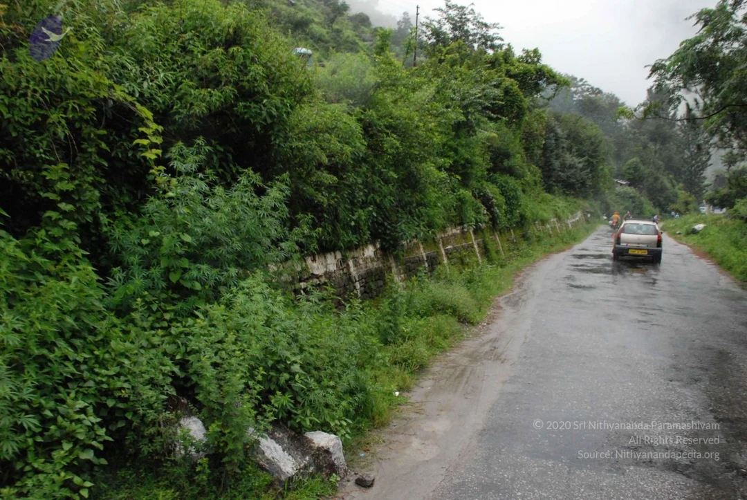 20080707 Photo 1573 1hzmZ8CpY1QpRrznHQjgQWWoE-94jA9ac.JPG