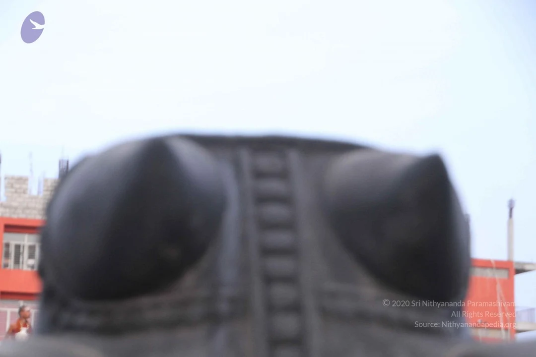 20130624 Photo 1026 17L BDd5uZIDuipxUUACUkD0iu0Z6dNEz.JPG