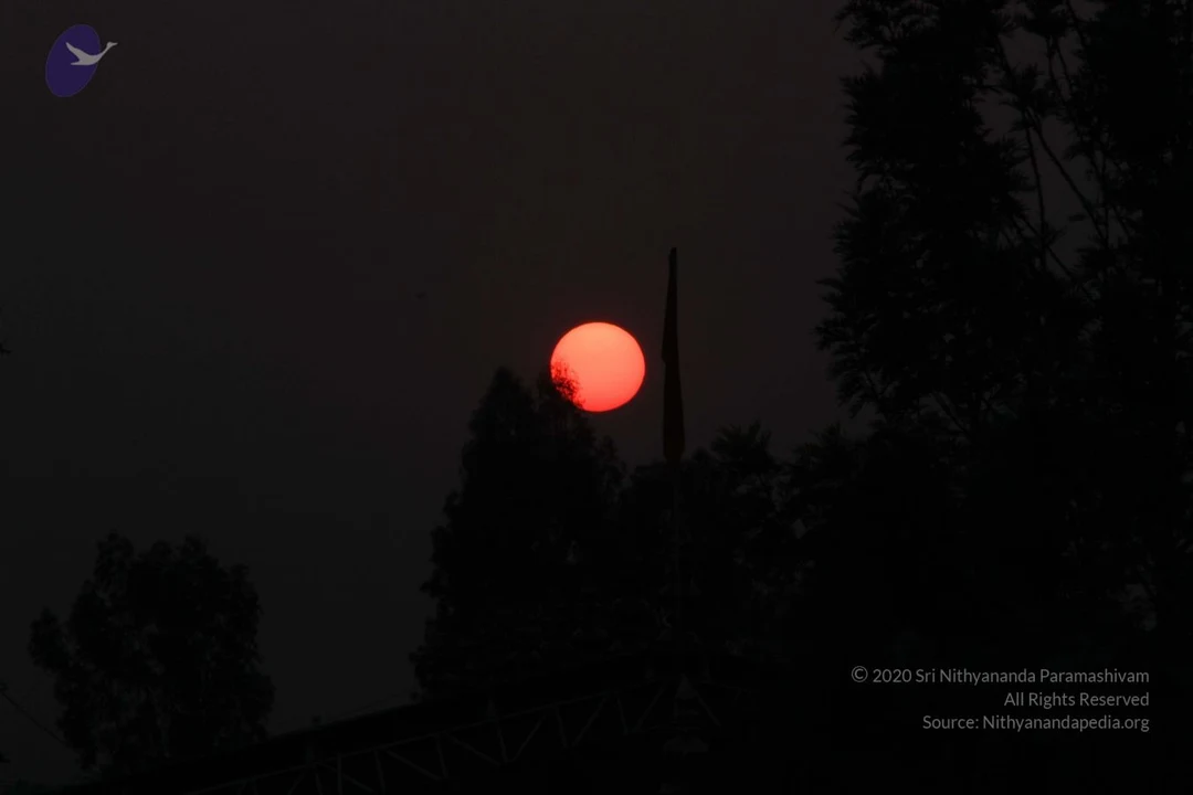 20130314 Photo 1001 1ZNuQrrPbTOJ4YFlhlx0kpHwHNOfGdkKD.JPG