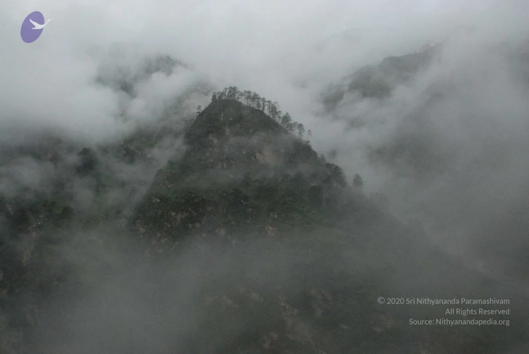 20080707 Photo 1212 1tFZSxcdcHLJf9QNZvOeb2Dou89 1JJjJ.JPG