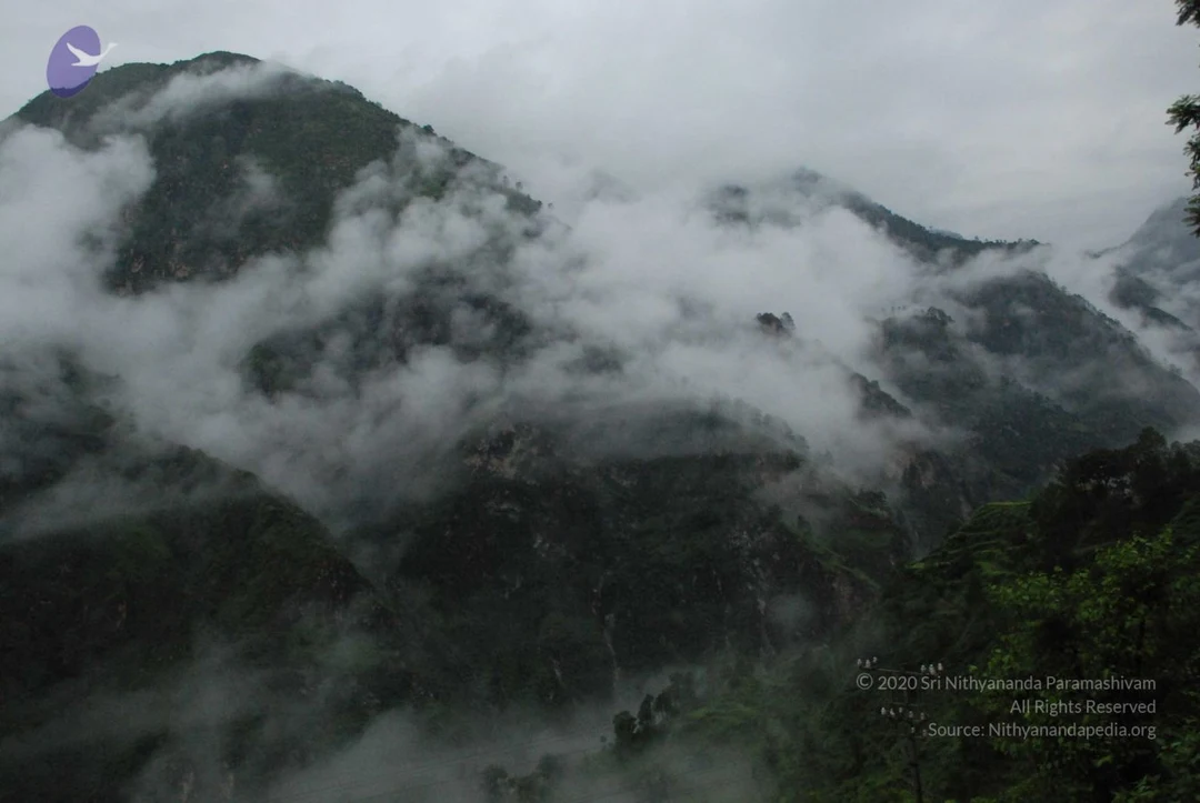 20080707 Photo 1117 1QKzaGFJ-QA7fTex4Me1z4qiaCdAd4CRi.JPG