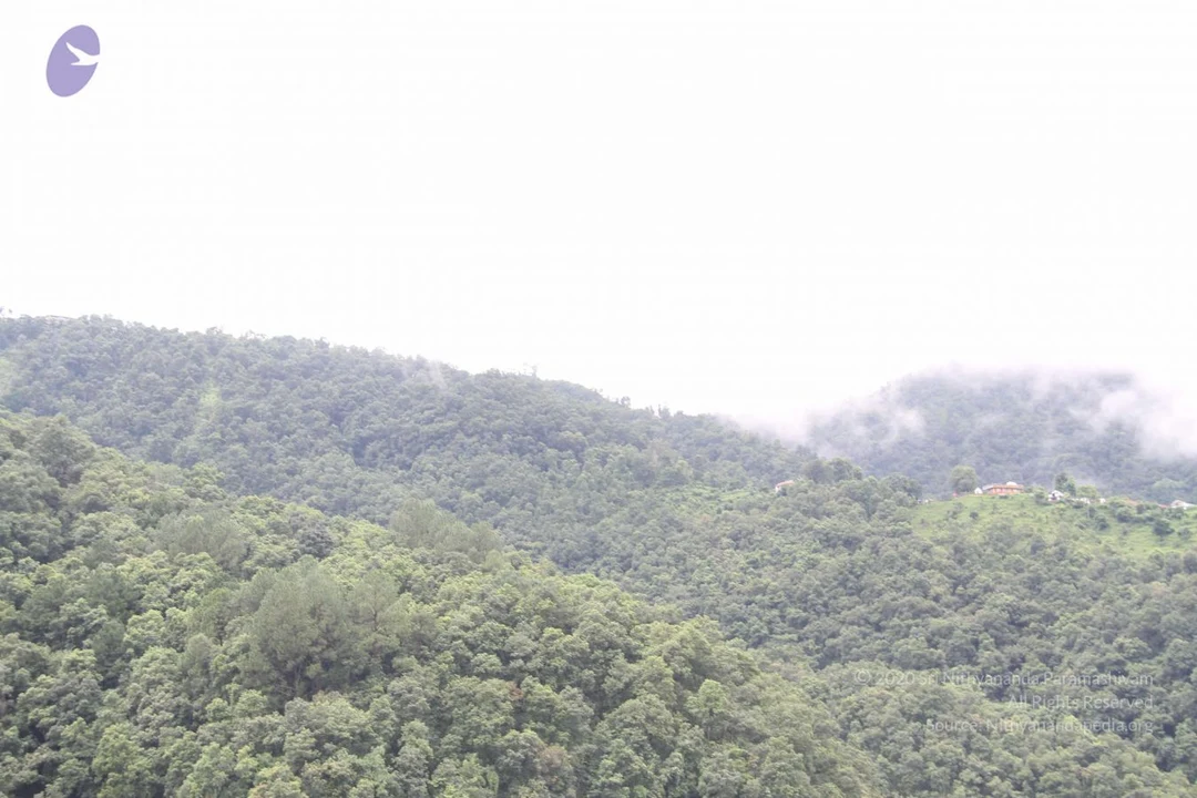 20110729 Photo 1084 11R-3uEK471d9QPe1TGsxqVT-oirJHlWM.JPG