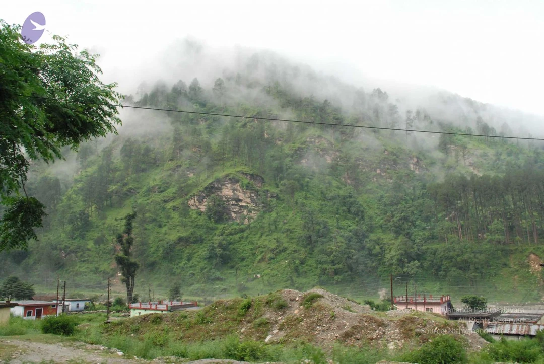 20080702 Photo 1156 1PKTZOxTwtFvx-9atyqB4fYwg8ndPhzF0.JPG