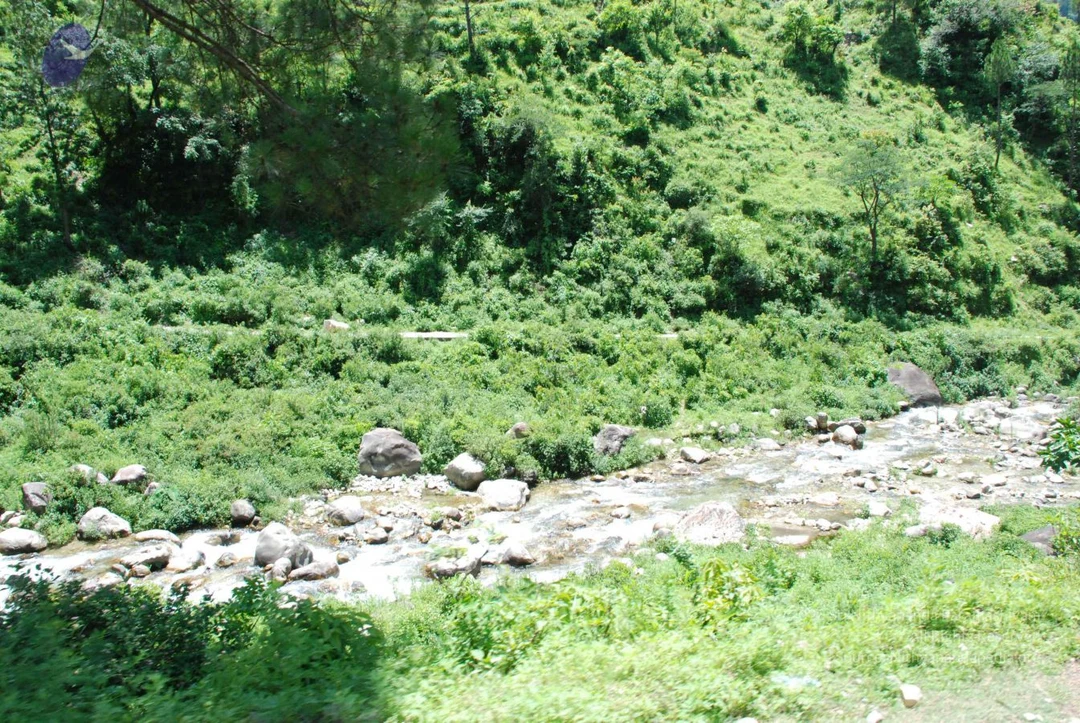 20080702 DSC 0592 CMP WM.jpg