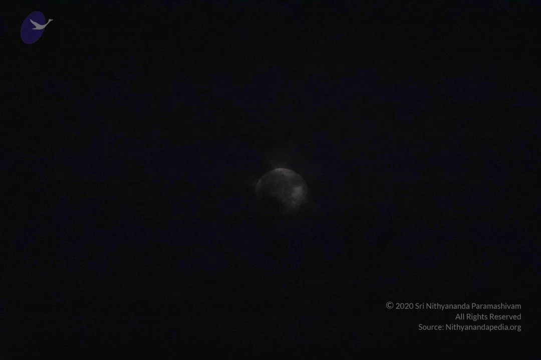 20180426 Photo 1135 1ZHfZyFZkroHgzX1sOvzxmi20LkWi8x8y.JPG