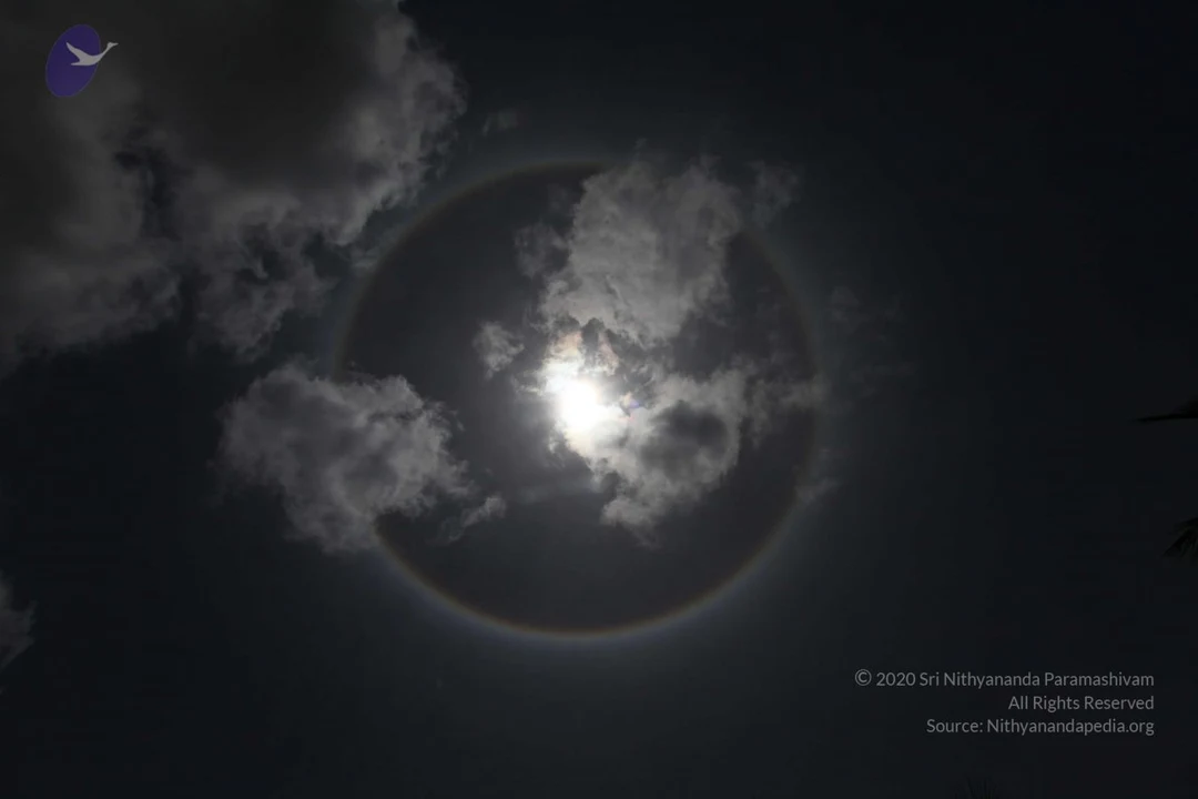 20100711 Photo 1352 1ZUn0eGbaY-Z3nZLkxwc2tJQ1etL5THvS.JPG