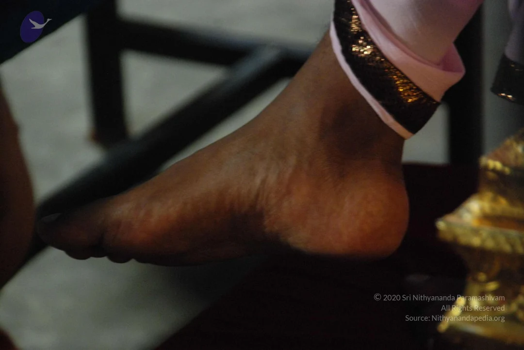 20100912 4069 CMP WM.jpg