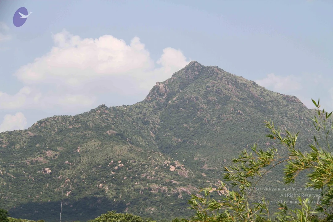 20110926 Photo 1196 1kPtdLWsvvCXGkZPgRkg0Q3SeiLXaGqfs.JPG