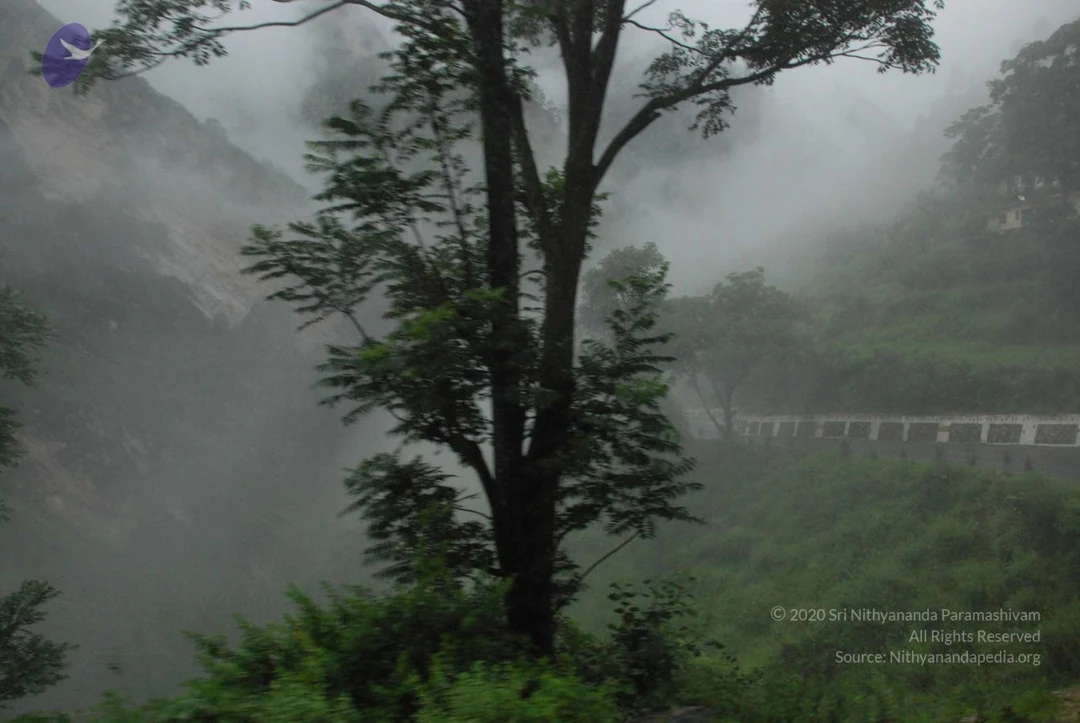 20080707 Photo 1174 1xogt3NRMnZrio5efWo asxlTKQ1tHJuy.JPG