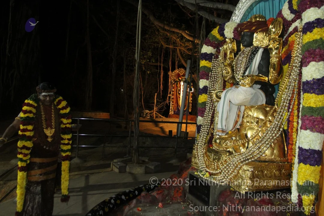20150219 Photo 1645 1b7qxy8NaOcTGC7reTUWakC909647LdFu.JPG