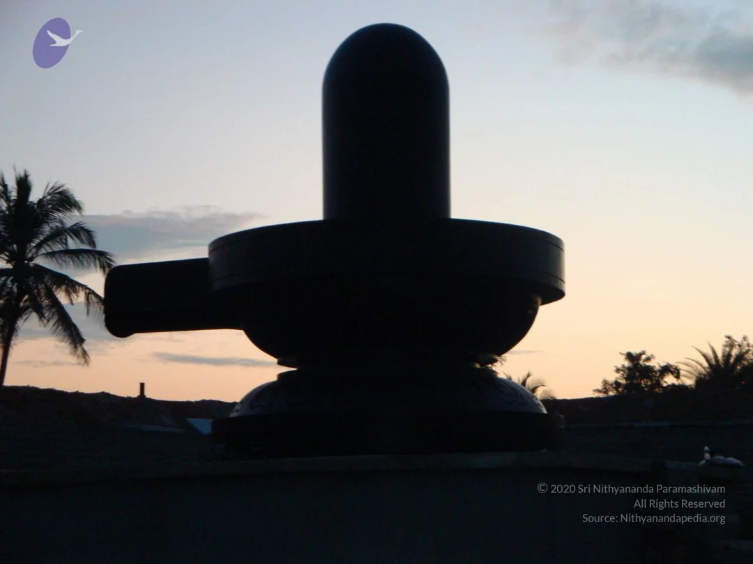 20081231 Photo 2408 151EaVuCk3s1H9YF8kKOkfsl9npCziWIz.JPG