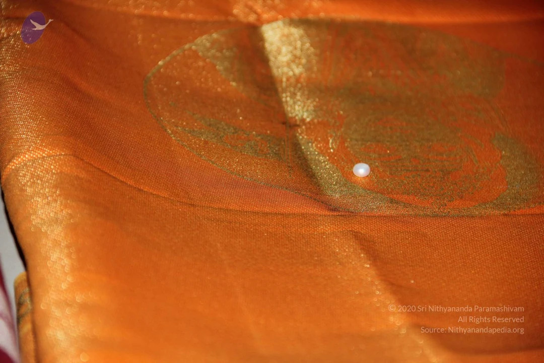 20110909 Photo 1642 11wDIzuvpgEhM-xcjqggCzbO1UAYGgxKc.JPG