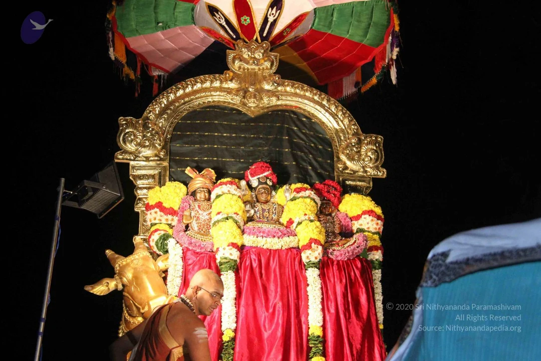 20151121 Photo 1355 1I aEr-ZZOadJ3NLxy24VQfvmbji9Mhvw.JPG