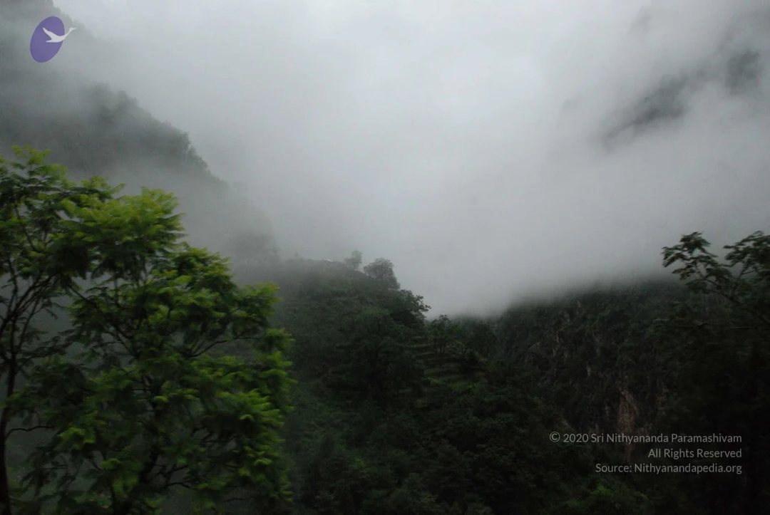 20080707 Photo 1281 1uG4gqPRAjUuFzMIpehyzAKOmAecrL -k.JPG