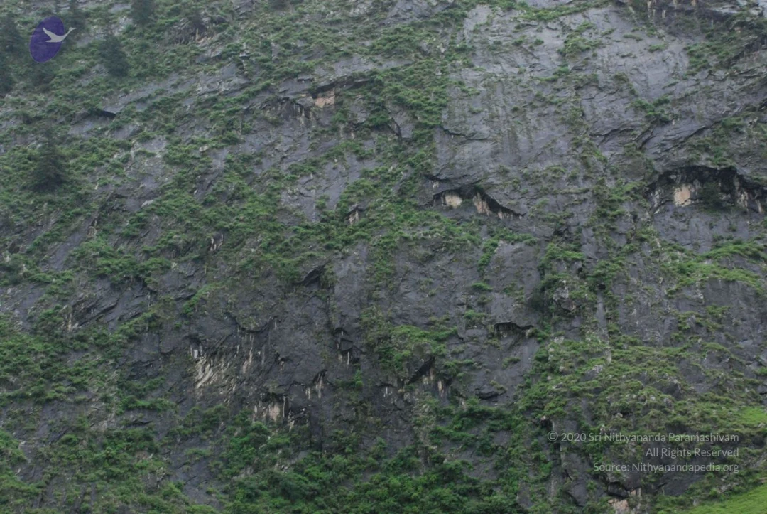 20080707 Photo 1700 1JvIbW5hd5UqZrYtJTzq1egQjg-dxHpuY.JPG
