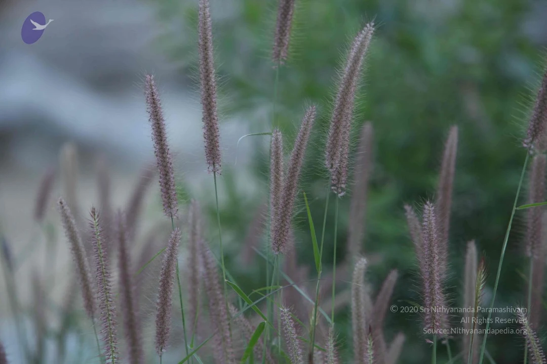 20150201 Photo 1419 1Va9sW9dTirtuJ0gI5T7rdwJwfO2k72Tq.JPG