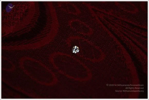 20111128 Photo 1692 1il210SaNzYKDKQNLa3 Pf0oU2y C7Oiv.JPG