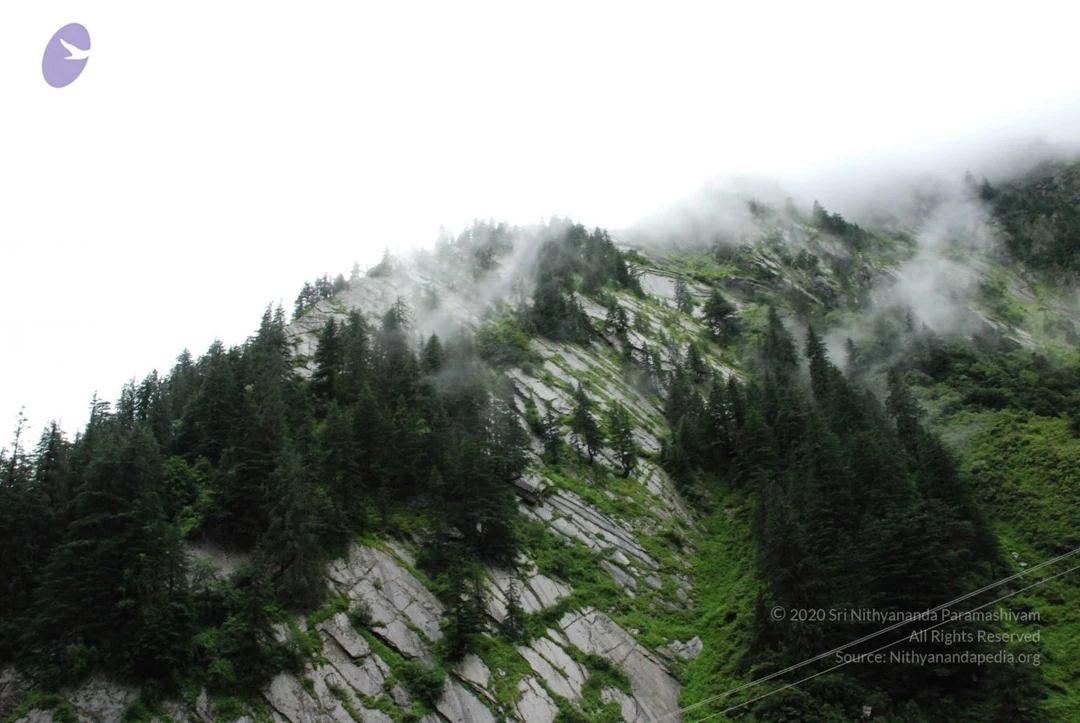 20080707 Photo 1731 1sVQf-VPoXzy LnA9QtyBm0US2hXU6YoO.JPG
