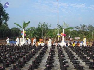 January 15 2011