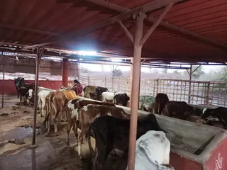 Jan 26 2022 sripuram