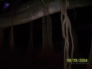 August 28 2004