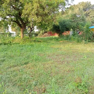 KASHI SARVAJNAPEETAM on 3/15/2022