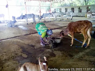 January 23 2022