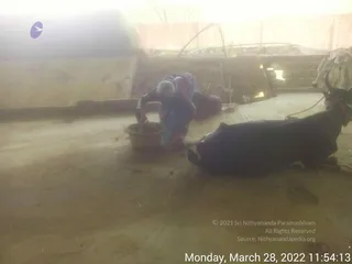 March 28 2022